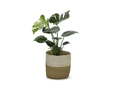 Kenyan Planter Basket - Natural #2